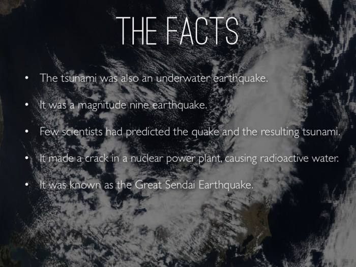 I survived the japanese tsunami summary