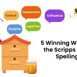 Scripps spelling bee 2024 word list