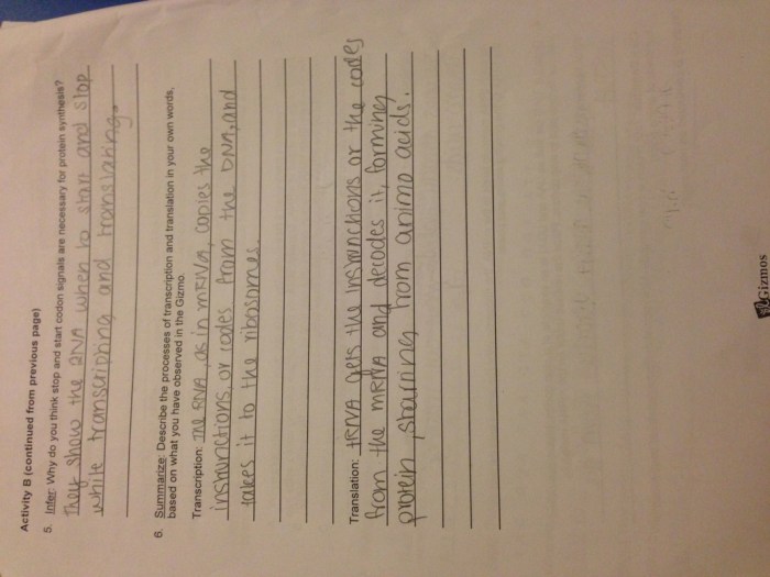 Student exploration: rna and protein synthesis