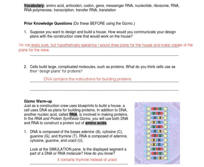 Rna synthesis protein gizmo activity