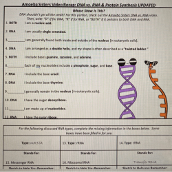 Amoeba sisters video recap genetic drift answers