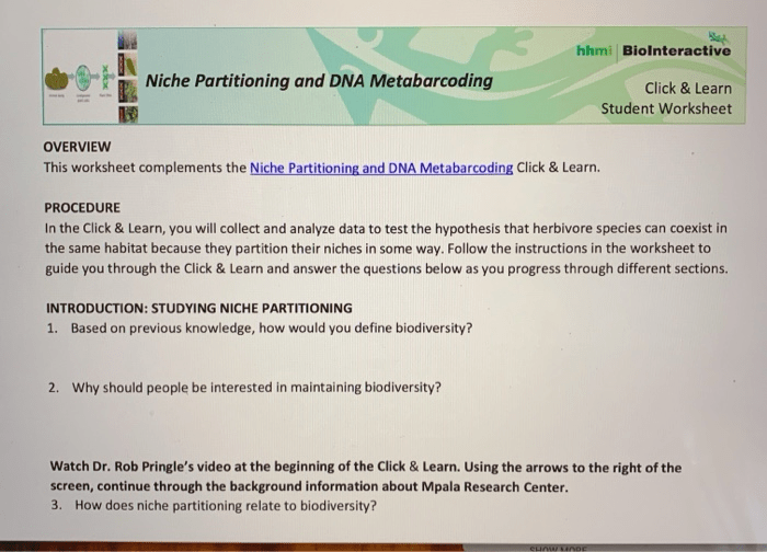 Niche partitioning and dna metabarcoding worksheet answers