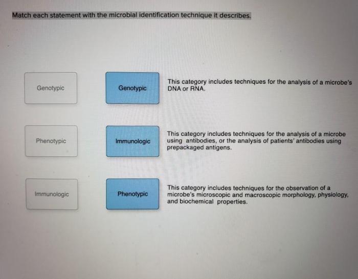 Match each statement with the microbial identification technique it describes.