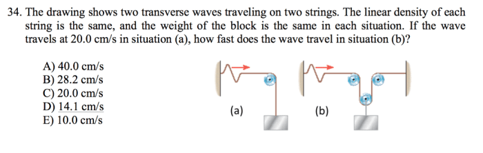 Waves wave transverse longitudinal position physicslab energy equilibrium amplitude direction properties oscillation sound dev measuring fundamentals medium distance vocabulary particles