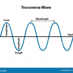 The drawing shows two transverse waves traveling on two strings