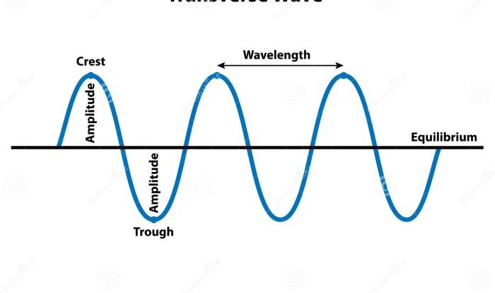 The drawing shows two transverse waves traveling on two strings