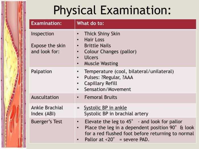 Kentucky physical therapy jurisprudence exam